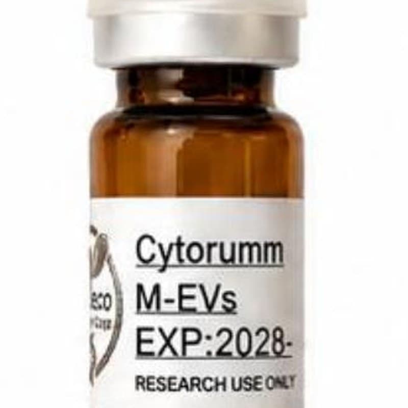 Cytorumm M-EVs 12B